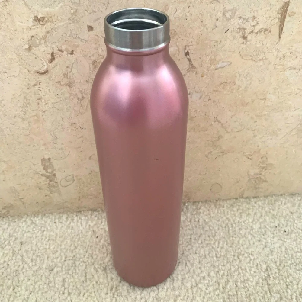 Target 20 oz. Pink Frosted Stainless Steel Bottle NEW